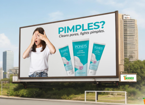 Wallscapes advertisement