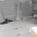 DSCN9234